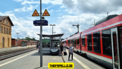 zug entgleist herzberg