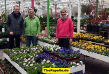 gärtner pötschke todesfall